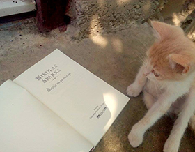 romantični mačak laguna knjige