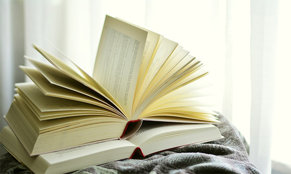 10 reči koje bi svaki ljubitelj knjiga trebalo da zna laguna knjige