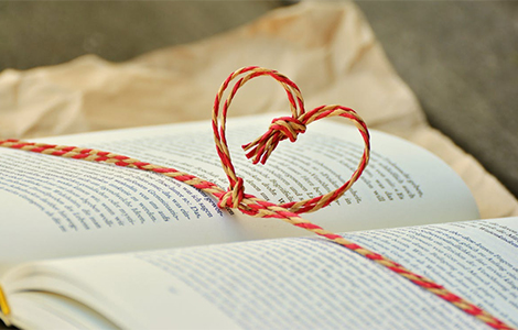 10 načina da osvojite srce knjiškog moljca laguna knjige