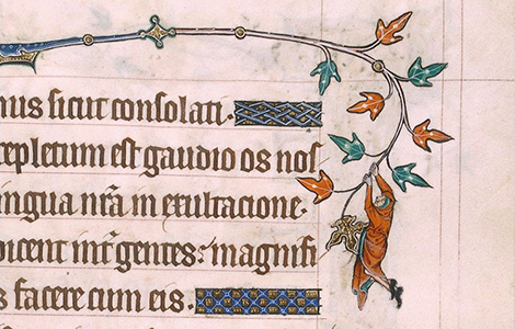 neobični i groteskni crteži na marginama srednjovekovnih knjiga laguna knjige