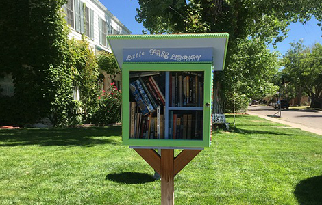 koristi postavljanja male besplatne biblioteke u dvorištu laguna knjige