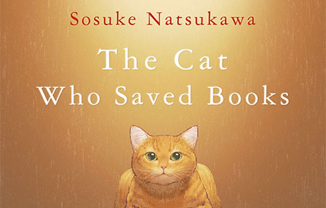 mačka koja je spasila knjige laguna knjige