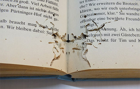 kako da zaštitite knjige od insekata  laguna knjige
