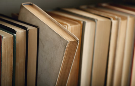 najzanimljivije (i najdostupnije) bibliotečke zbirke na svetu laguna knjige