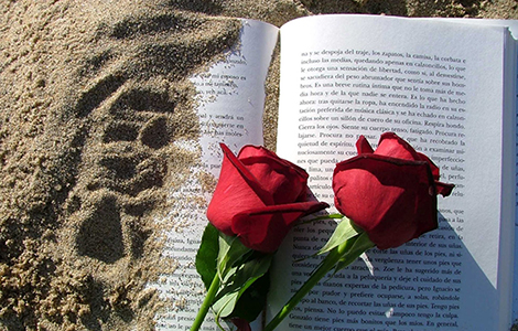zašto zaljubljeni jedni drugima poklanjaju knjige u barseloni  laguna knjige